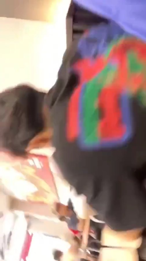 vid terbaru
