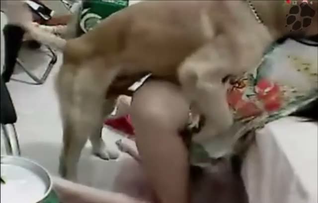 pensaran rasanya main sama ajg ternyata bisa bikin desah